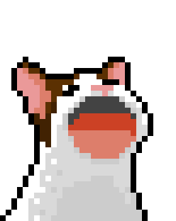 Pop Cat